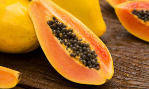 มะละกอ-papaya