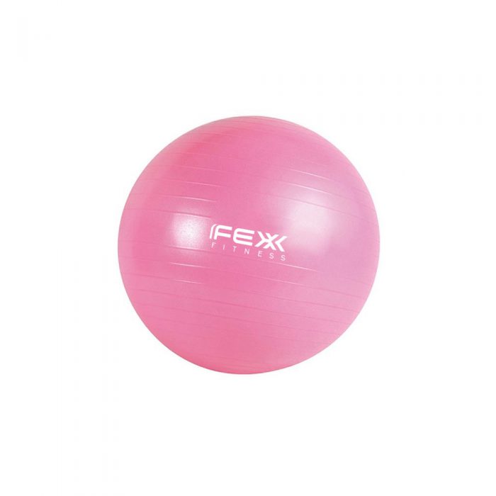 ลูกบอลออกกำลังกาย FEX-FITNESS-Gym-Ball-55
