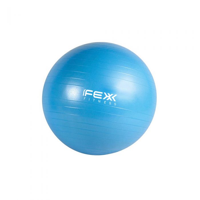 ลูกบอลออกกำลังกาย FEX-FITNESS-Gym-Ball-65